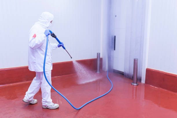 Best House Exterior Washing  in Lliams Bay, WI